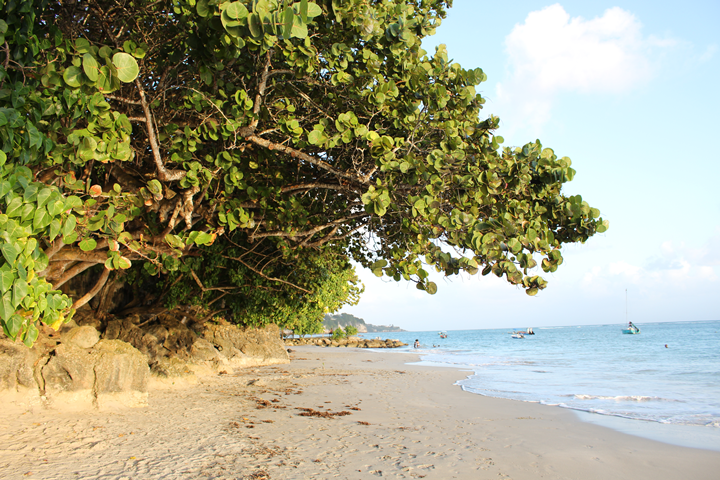 Guadeloupe-plage1-La-Datcha-Gosier